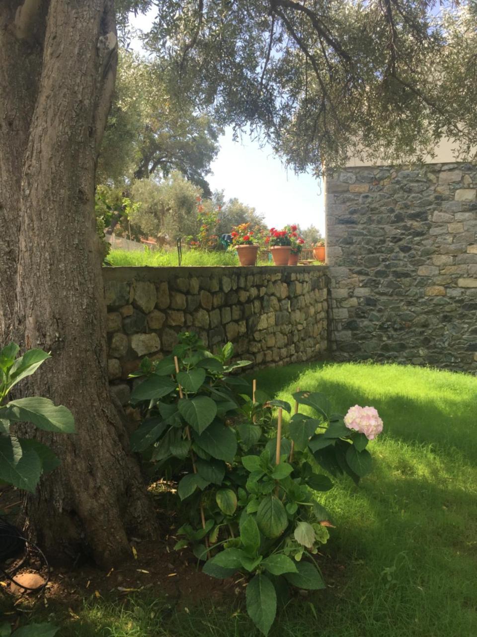 Xiropotamos Samothraki Suites Kalisti מראה חיצוני תמונה